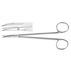 Nerve Dissecting Scissor Curved - Semi Sharp Stainless Steel, 15 cm - 6"